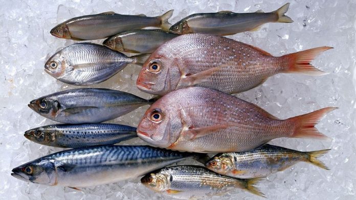 High dietary intake of fish may protect against heart disease
