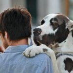 Humans feel more empathy for dogs than for other humans, study suggests Humans feel more empathy for dogs than for other humans, study suggests