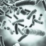 Missing gut bacteria produces autism symptoms Missing gut bacteria produces autism symptoms