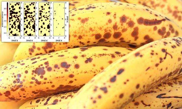 Research on banana browning could help tackle food waste