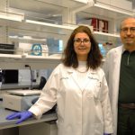 Researchers discover new promising target for diabetes treatment Researchers discover new promising target for diabetes treatment