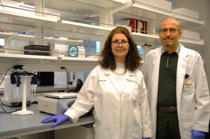 Researchers discover new promising target for diabetes treatment