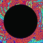 Scientist manipulate demographic of bacterial community with novel electronic technology Scientist manipulate demographic of bacterial community with novel electronic technology