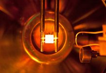 Scientists stick out their necks to understand how fusion plasmas fuel up Scientists stick out their necks to understand how fusion plasmas fuel up