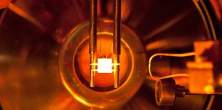 Scientists stick out their necks to understand how fusion plasmas fuel up Scientists stick out their necks to understand how fusion plasmas fuel up