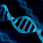 Technology to end heriditary disease allows attempt to create super race Technology to end heriditary disease allows attempt to create super race