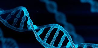 Technology to end heriditary disease allows attempt to create super race Technology to end heriditary disease allows attempt to create super race