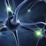 UCLA researchers identify how the brain links memories UCLA researchers identify how the brain links memories