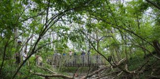 University of Cincinnati scientists examine low-cost ways to improve urban streams University of Cincinnati scientists examine low-cost ways to improve urban streams