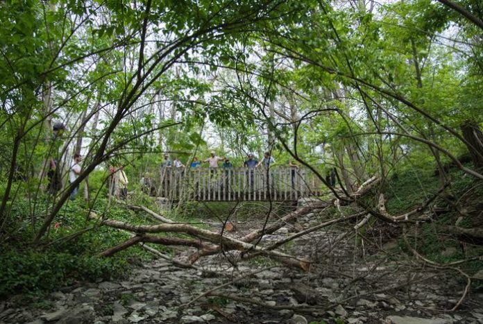 University of Cincinnati scientists examine low-cost ways to improve urban streams