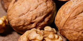 Eating nuts reduces mortality risk, studies find Eating nuts reduces mortality risk, studies find
