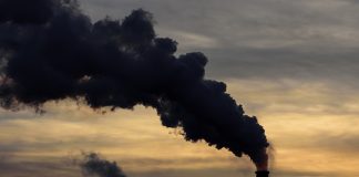 New Research links air pollution exposure to adverse outcomes in pregnancy New Research links air pollution exposure to adverse outcomes in pregnancy