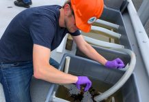 New study confirms effectiveness of oil dispersants New study confirms effectiveness of oil dispersants