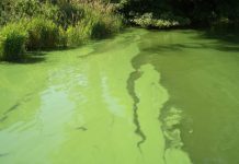 Researchers offer solutions to global phosphorus crisis that threatens food and water security Researchers offer solutions to global phosphorus crisis that threatens food and water security