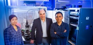 Scientists use enzymes to change how brain cells communicate with each other Scientists use enzymes to change how brain cells communicate with each other