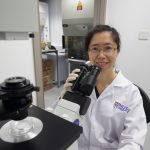 Study brings new light to unsolved genetic diseases in children Study brings new light to unsolved genetic diseases in children