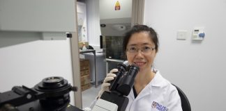 Study brings new light to unsolved genetic diseases in children Study brings new light to unsolved genetic diseases in children