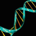 Five most common mental illnesses have common genetic root Five most common mental illnesses have common genetic root