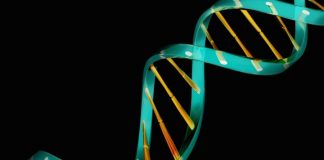 Five most common mental illnesses have common genetic root Five most common mental illnesses have common genetic root