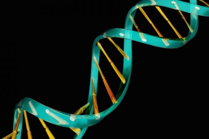 Five most common mental illnesses have common genetic root