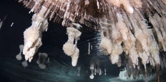 Researchers find greenhouse gas warming likely cause of industrial-era sea level rise Researchers find greenhouse gas warming likely cause of industrial-era sea level rise