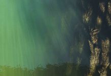 Study finds deep-sea mining noise pollution will stretch hundreds of miles Study finds deep-sea mining noise pollution will stretch hundreds of miles