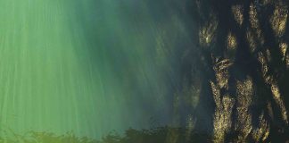 Study finds deep-sea mining noise pollution will stretch hundreds of miles Study finds deep-sea mining noise pollution will stretch hundreds of miles