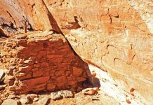 Ancient human feces found to be antibiotic resistant Ancient human feces found to be antibiotic resistant