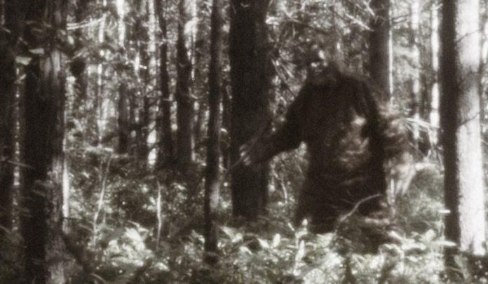 Bigfoot has been found and killed