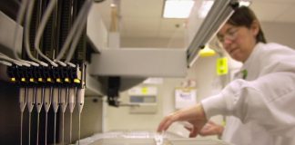 Broader testing urged for hereditary cancers in women Broader testing urged for hereditary cancers in women