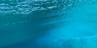 First water in ringwoodite ever found hints at oceans in Earth’s mantle First water in ringwoodite ever found hints at oceans in Earth’s mantle