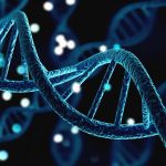 Genes influence behavior, but behavior also influences genes, study finds Genes influence behavior, but behavior also influences genes, study finds