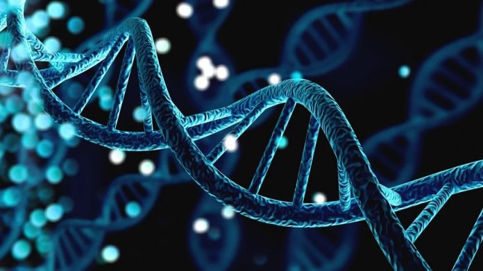 Genes influence behavior, but behavior also influences genes, study finds