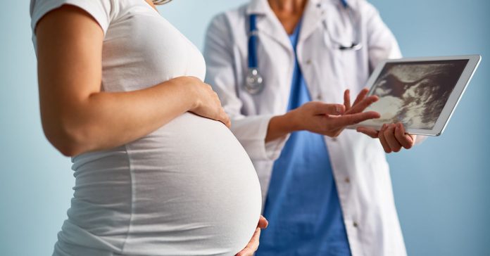 Lipid levels during pregnancy are shown to have an impact on autism