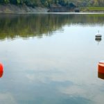 Persistent organic pollutants and fish consumption Persistent organic pollutants and fish consumption