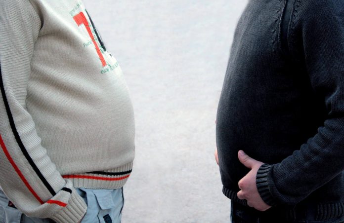 Personality traits highly predictive of obesity, study finds