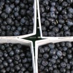 Berries may improve your otherwise poor diet Berries may improve your otherwise poor diet
