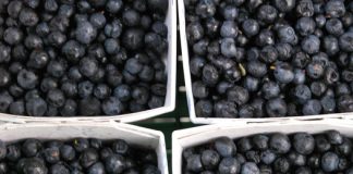 Berries may improve your otherwise poor diet Berries may improve your otherwise poor diet