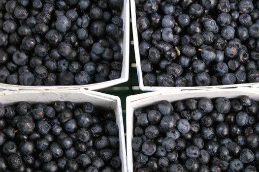 Berries may improve your otherwise poor diet
