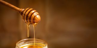 Honey is the new cure for antibiotic resistant bacteria Honey is the new cure for antibiotic resistant bacteria