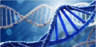 Largest study to date shows majority of autism is genetic Largest study to date shows majority of autism is genetic