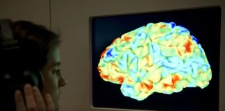 Men display similar brain response to parenting as women Men display similar brain response to parenting as women