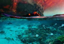 Microbial methane caused the end-Permian extinction Microbial methane caused the end-Permian extinction