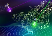 Scientists find chemical that resets circadian clock Scientists find chemical that resets circadian clock