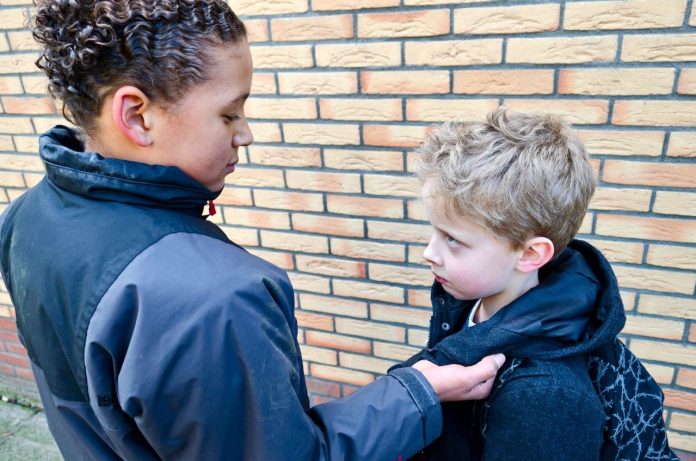 Teaching siblings to be nice instead of bullies promotes mental health