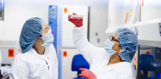 UCLA stem cell research may lead to new treatments for many diseases UCLA stem cell research may lead to new treatments for many diseases