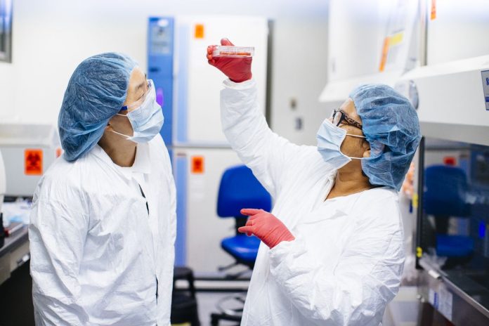 UCLA stem cell research may lead to new treatments for many diseases