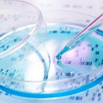 New genetic test to predict chances of serious concussion New genetic test to predict chances of serious concussion