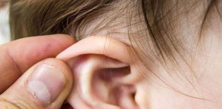 Researchers prove regular ear tickling improves heart health Researchers prove regular ear tickling improves heart health