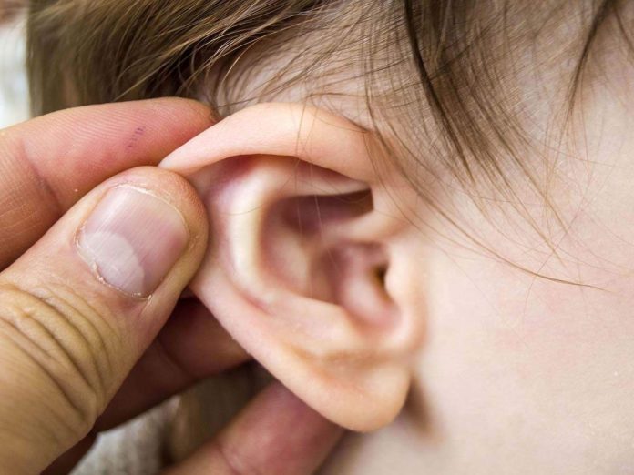 Researchers prove regular ear tickling improves heart health